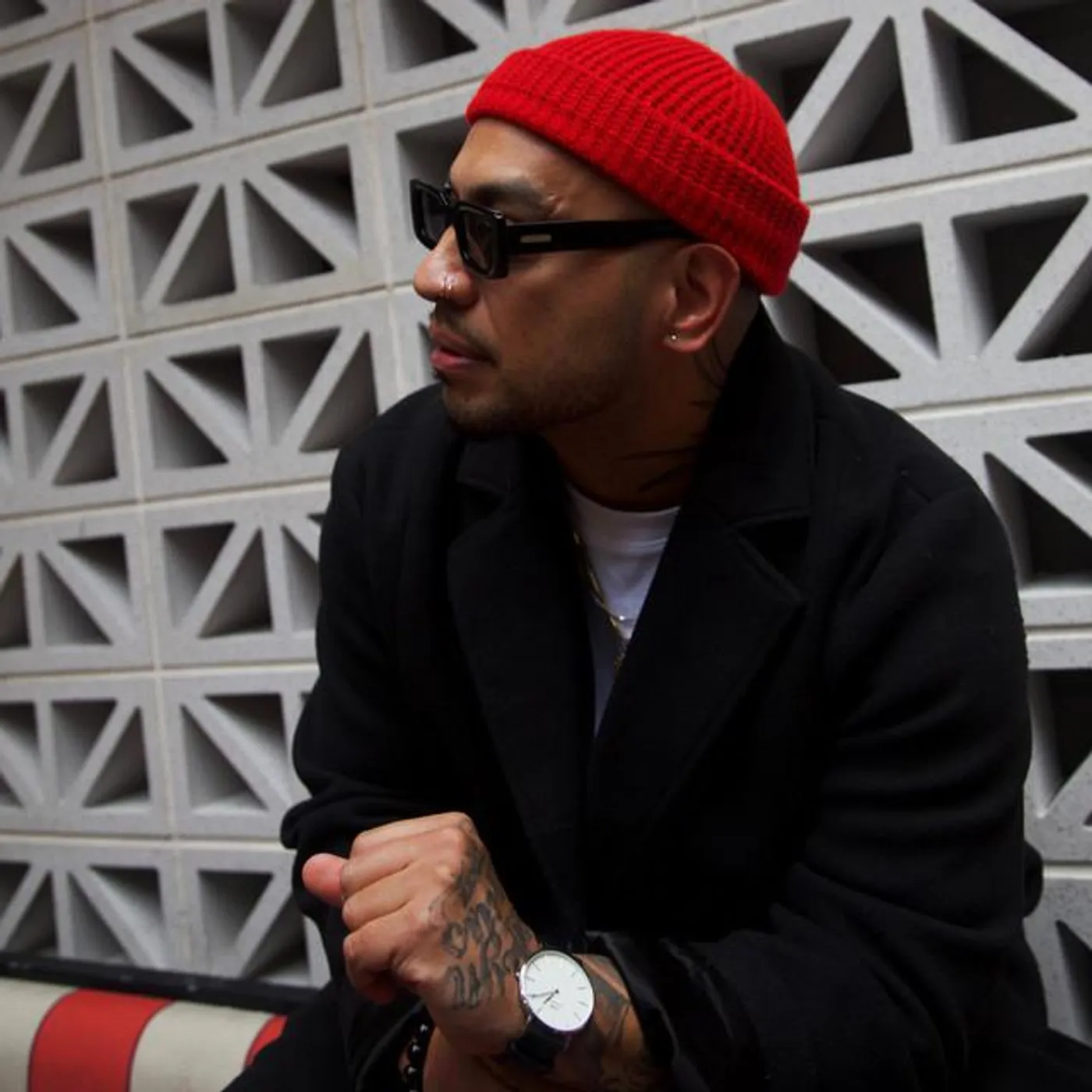 Arona Mane Brand Page