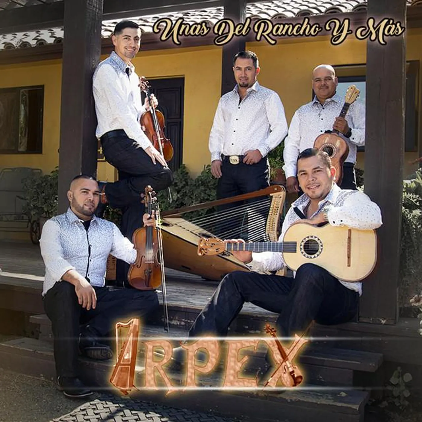 Arpex