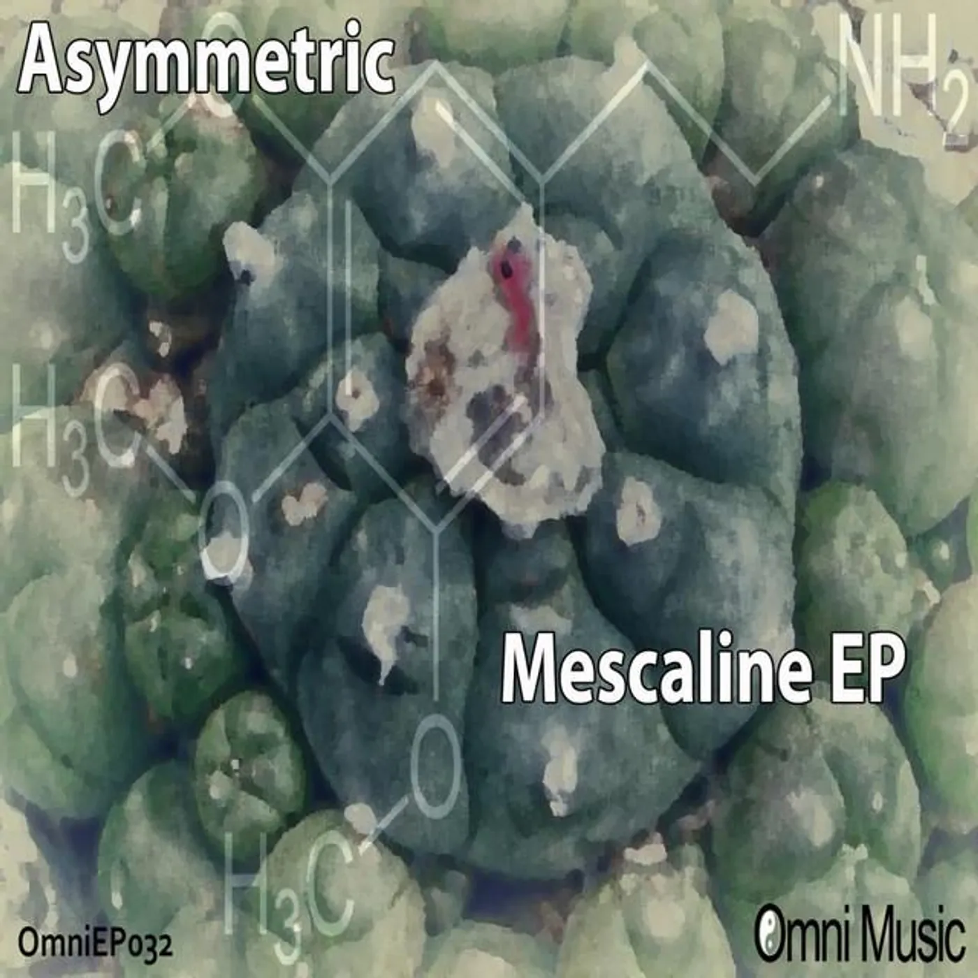 Asymmetric Brand Page