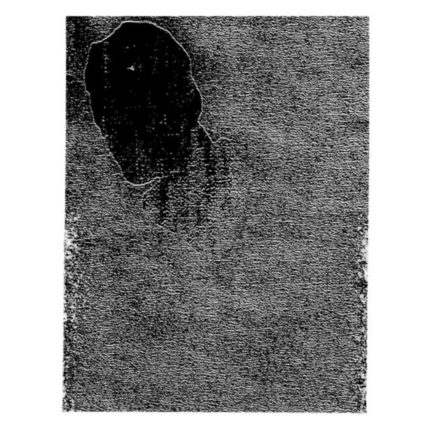 Asasin Paranoic