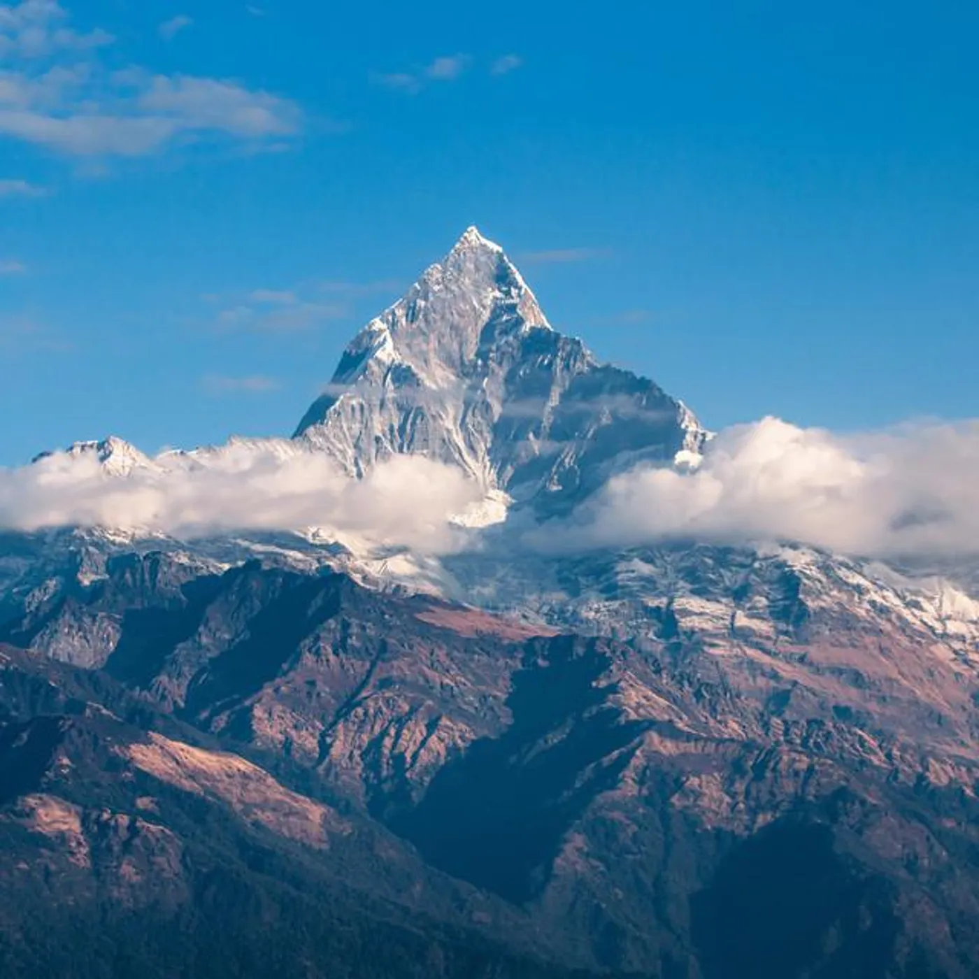 Ascending Everest Brand Page
