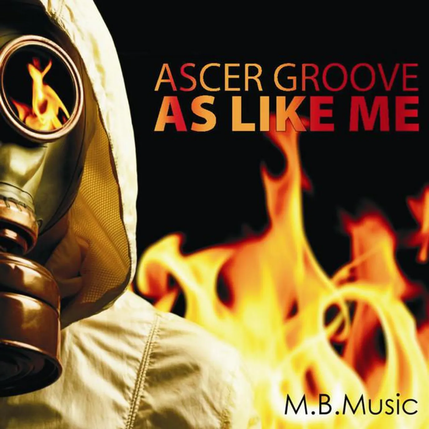 Ascer Groove Brand Page