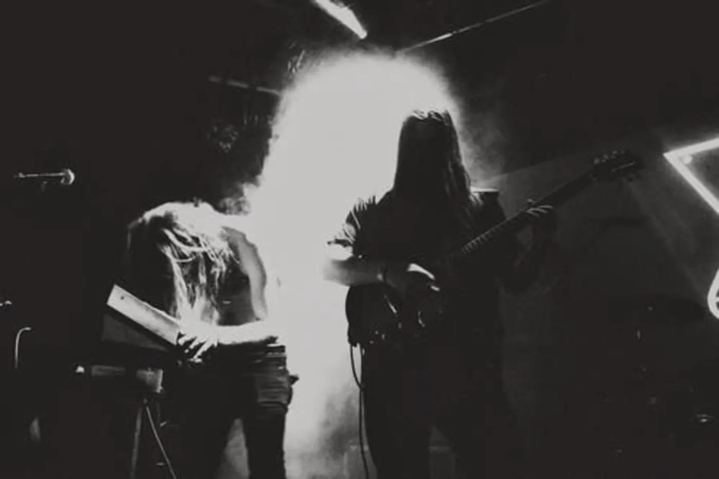 Ash Borer