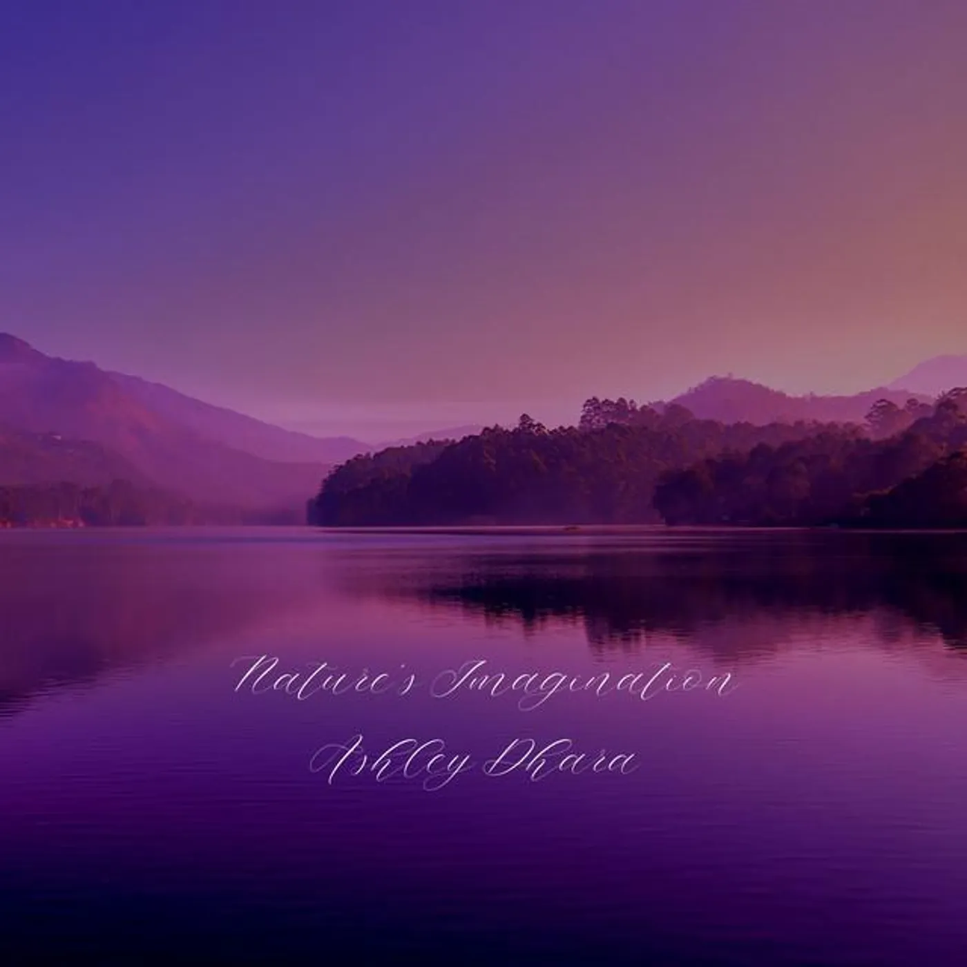 Ashley Dhara Brand Page