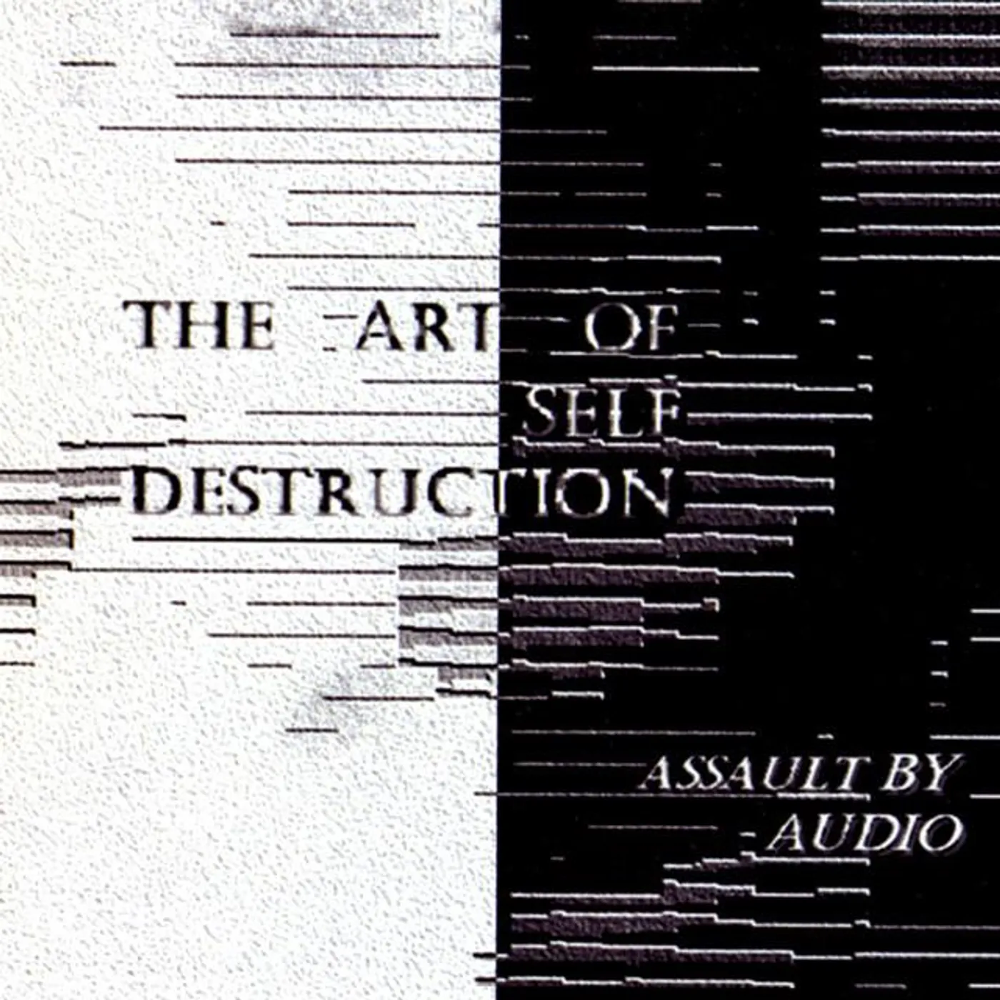 Assault By Audio Brand Page