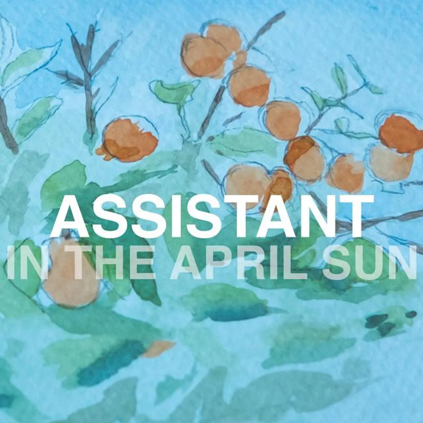 Assistant