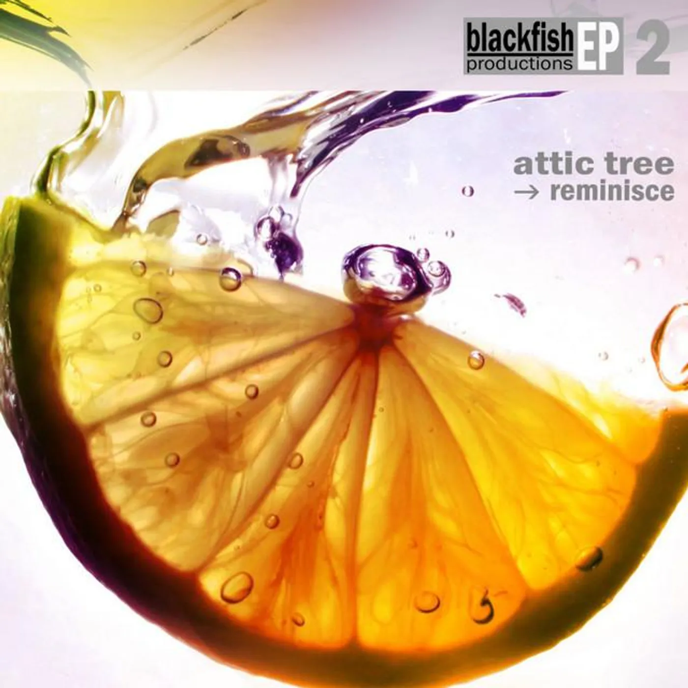 Attic Tree Brand Page