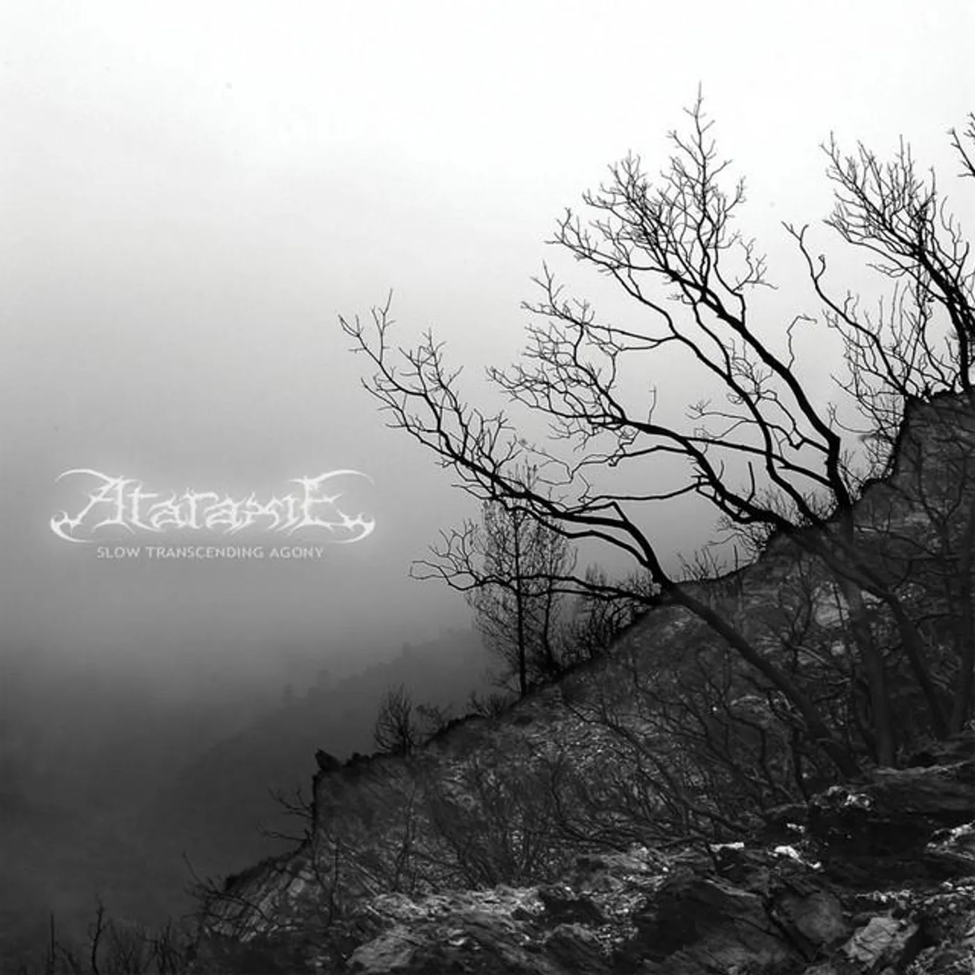 Ataraxie