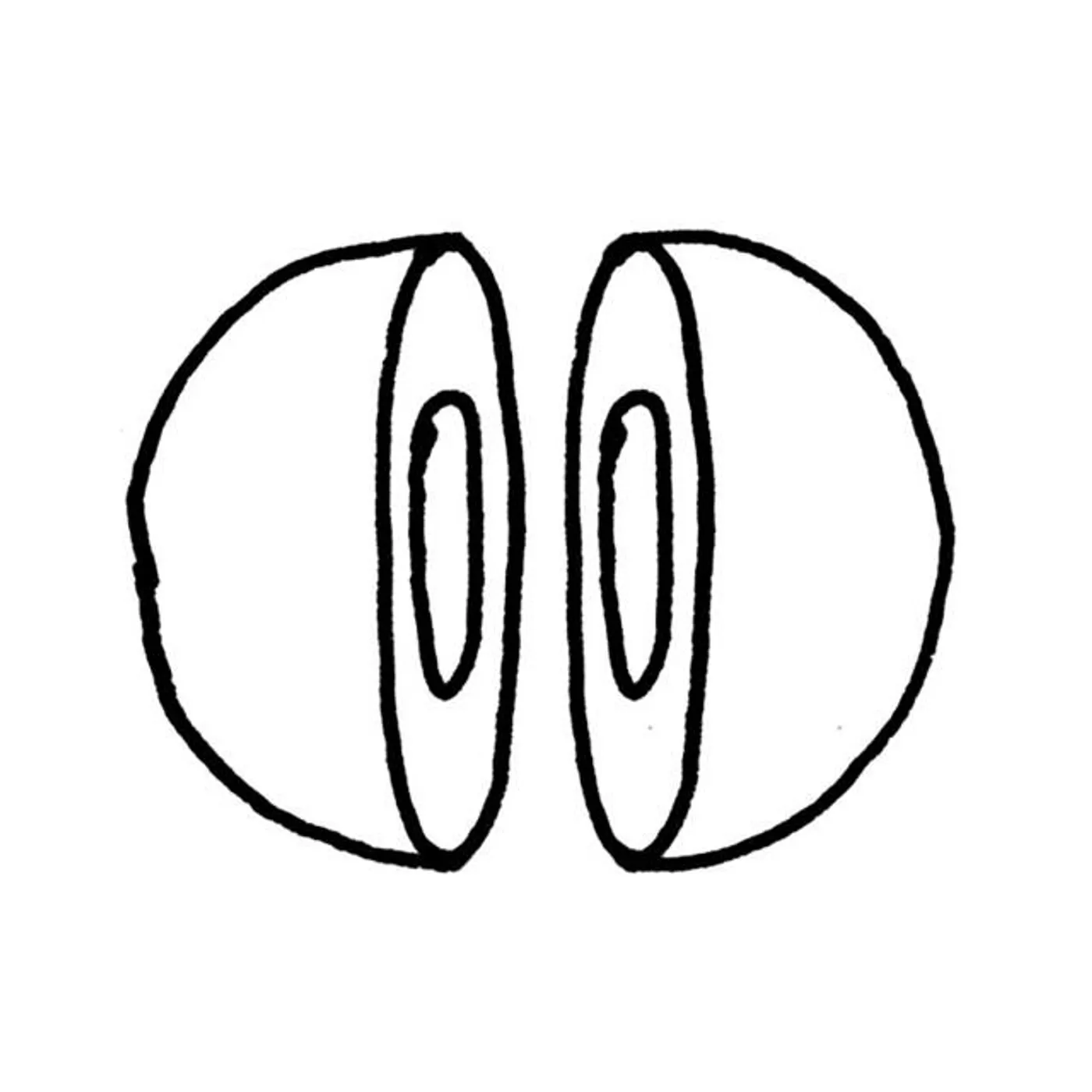 AUTORHYTHM