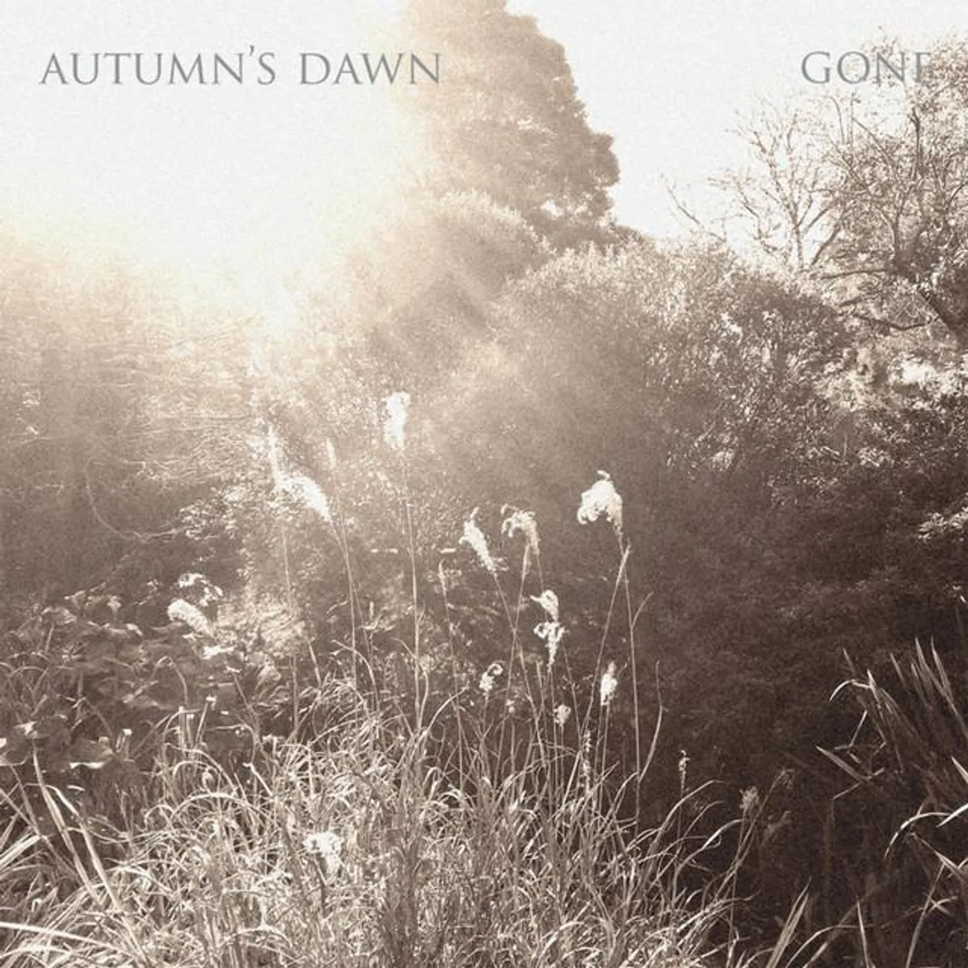 Autumn's Dawn Brand Page