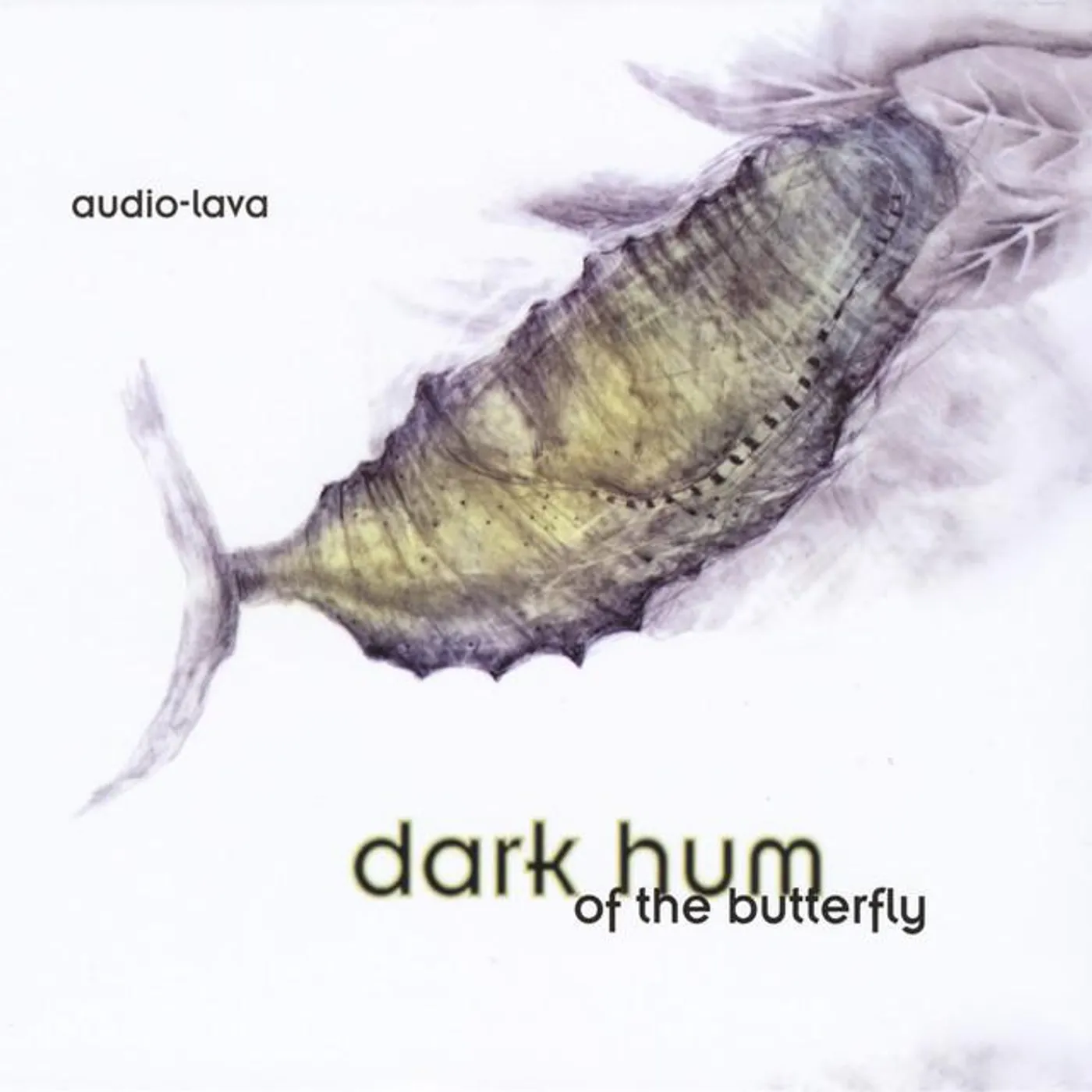 Audio Lava