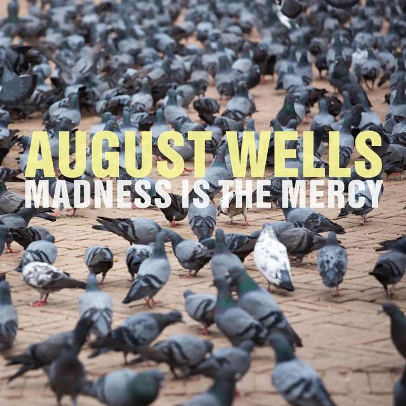 August Wells Brand Page