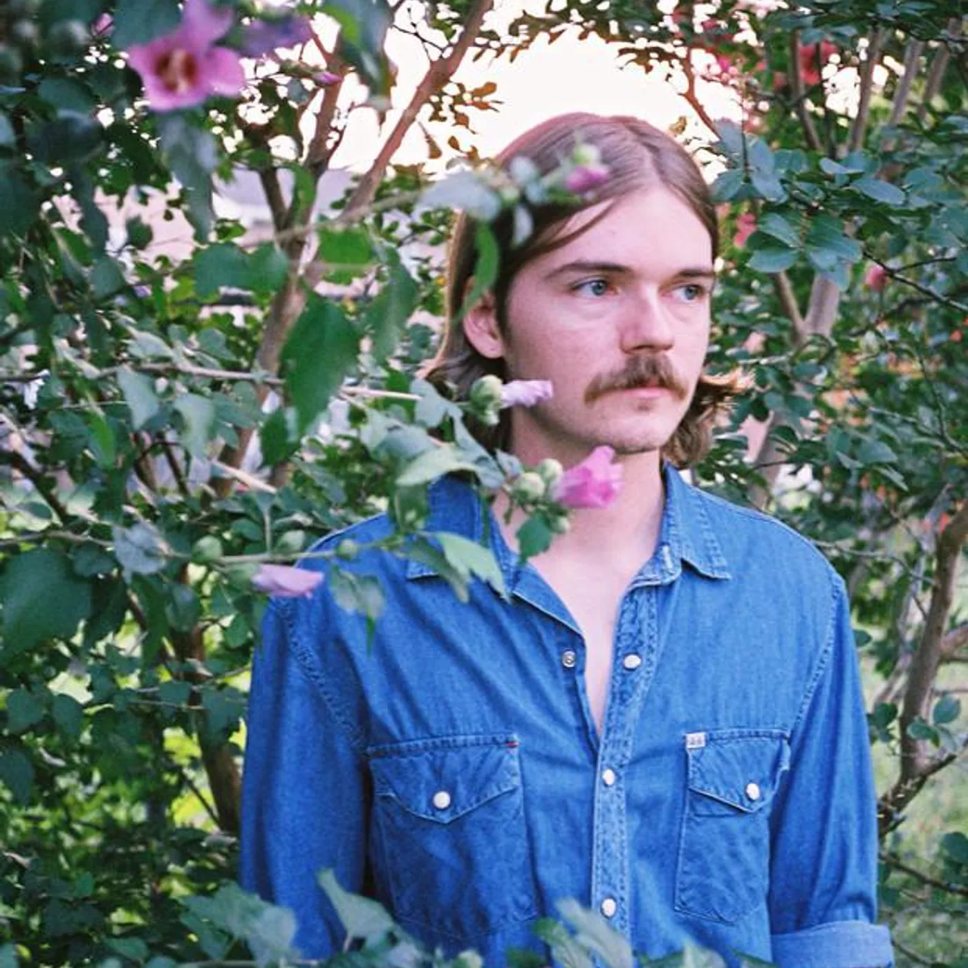 Austin Feinstein