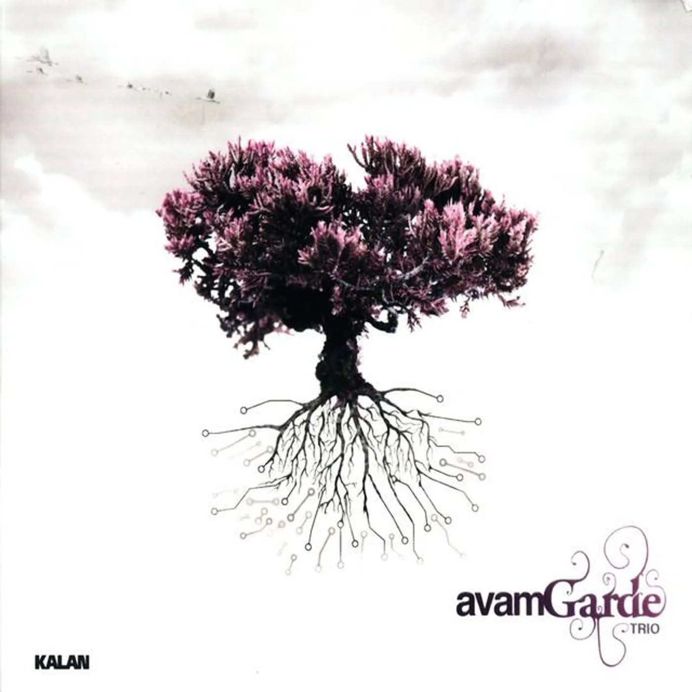Avam Garde Trio