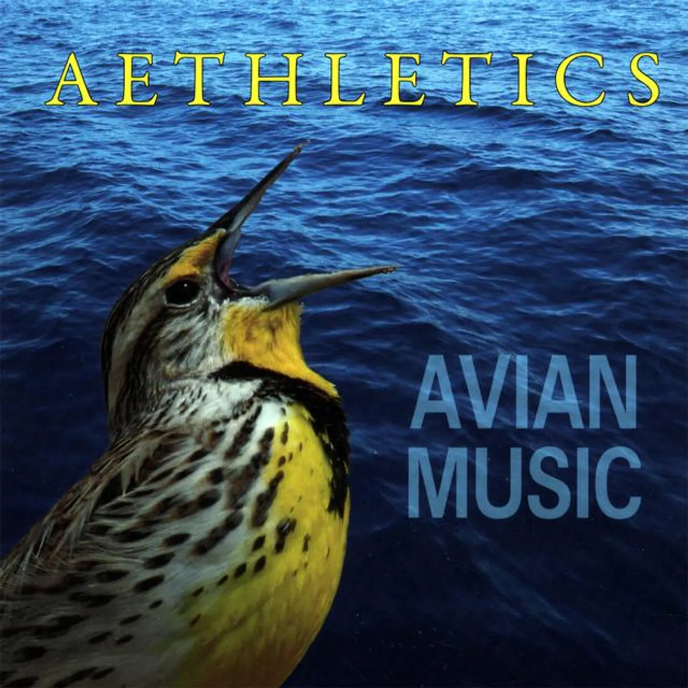Avian Music