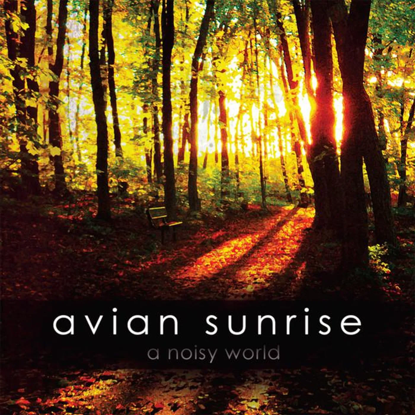 Avian Sunrise