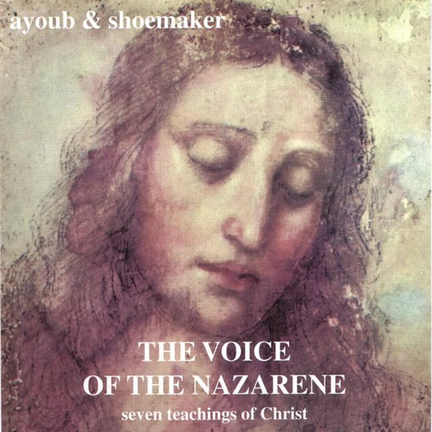 ayoub & shoemaker