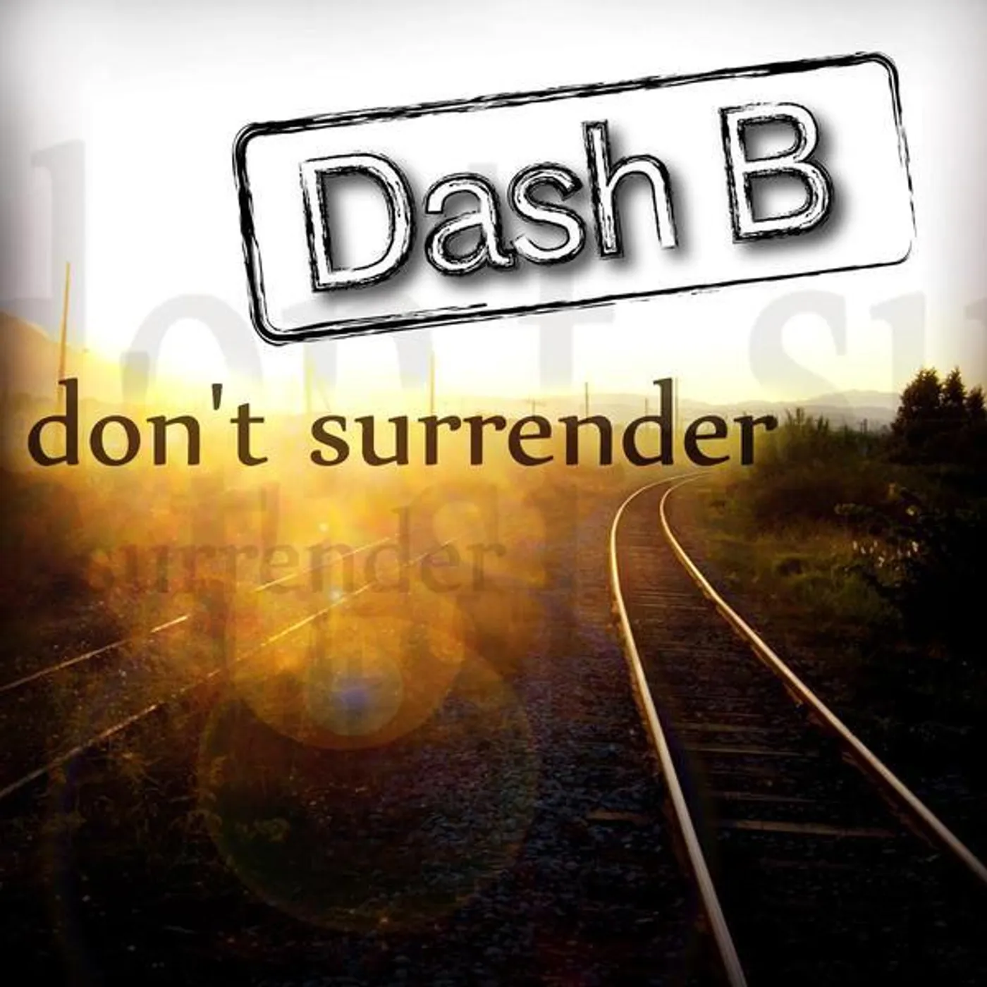 Dash B