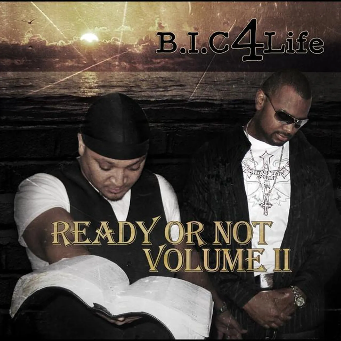 B.I.C. 4Life Brand Page