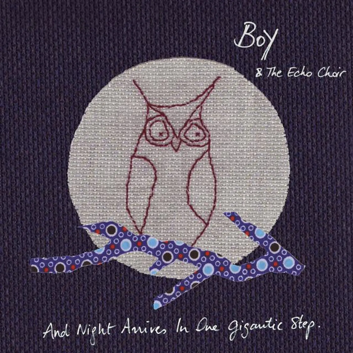 Boy and the Echo Choir