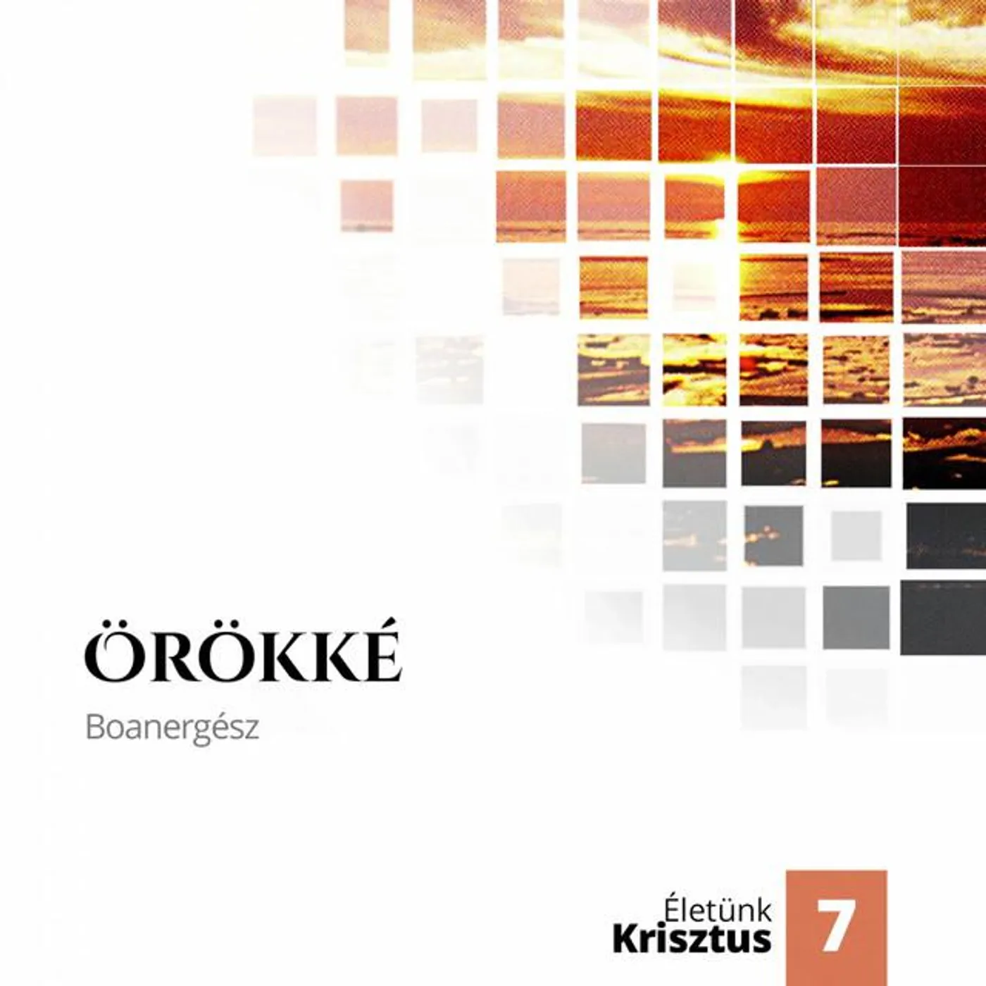 Boanergész