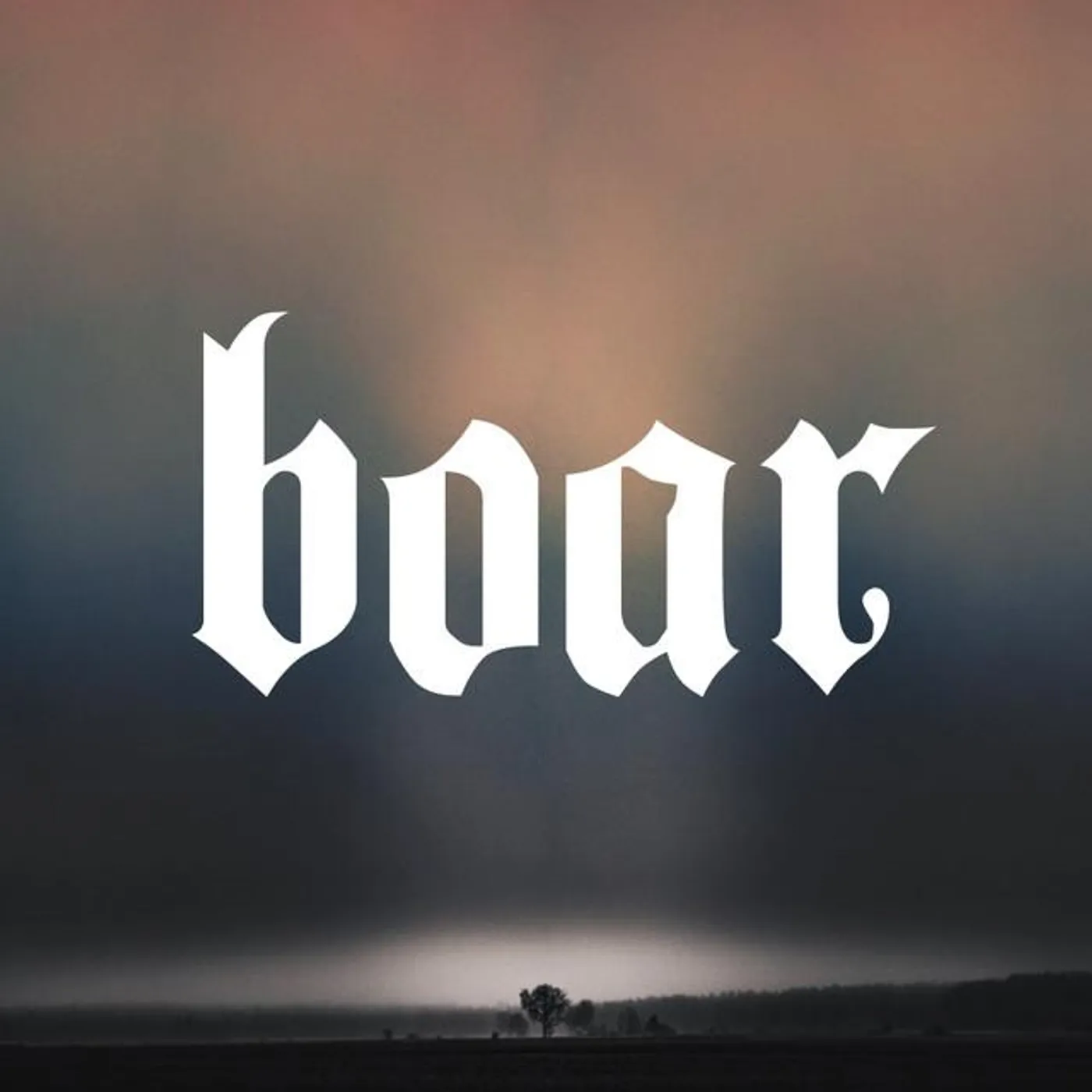 Boar
