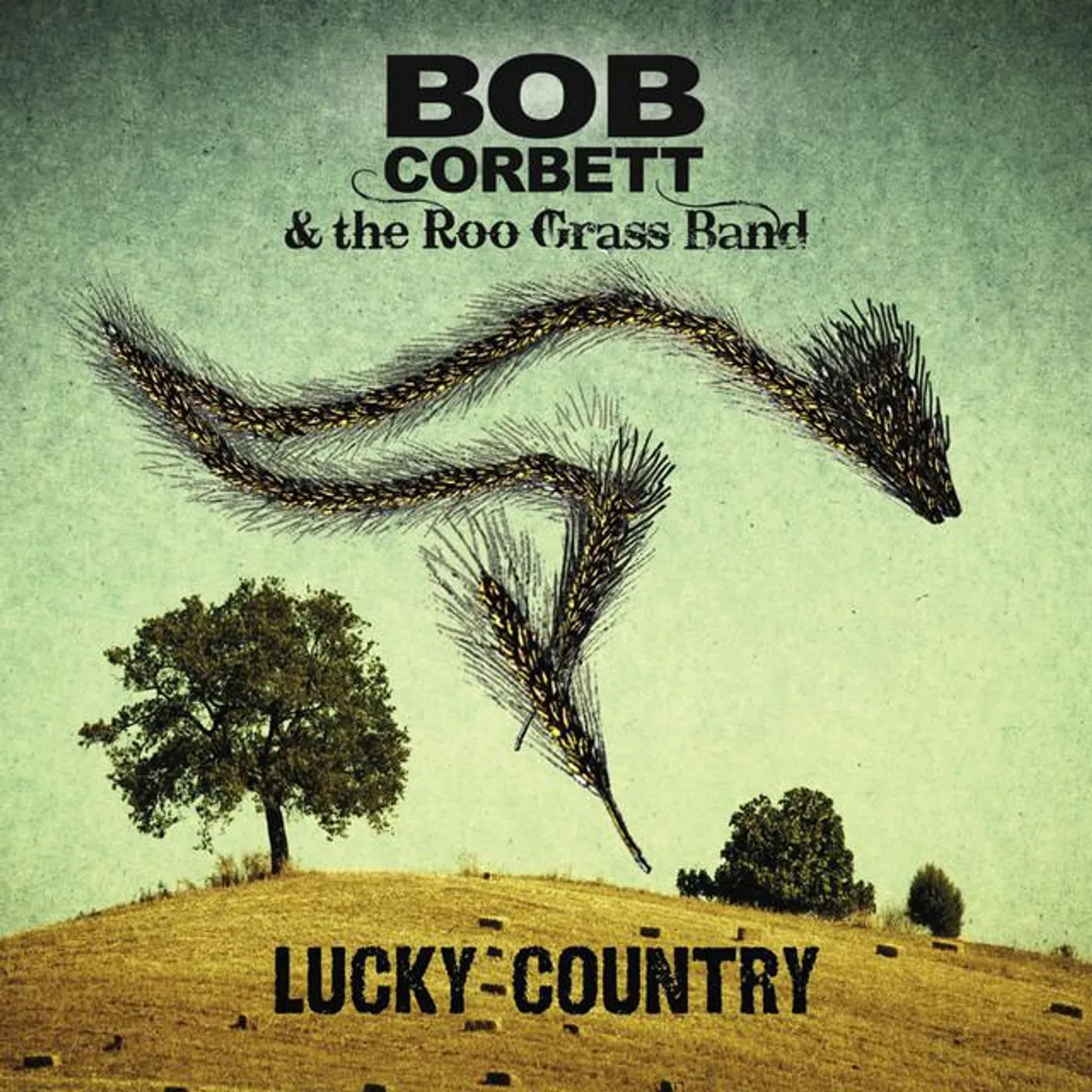 Bob Corbett