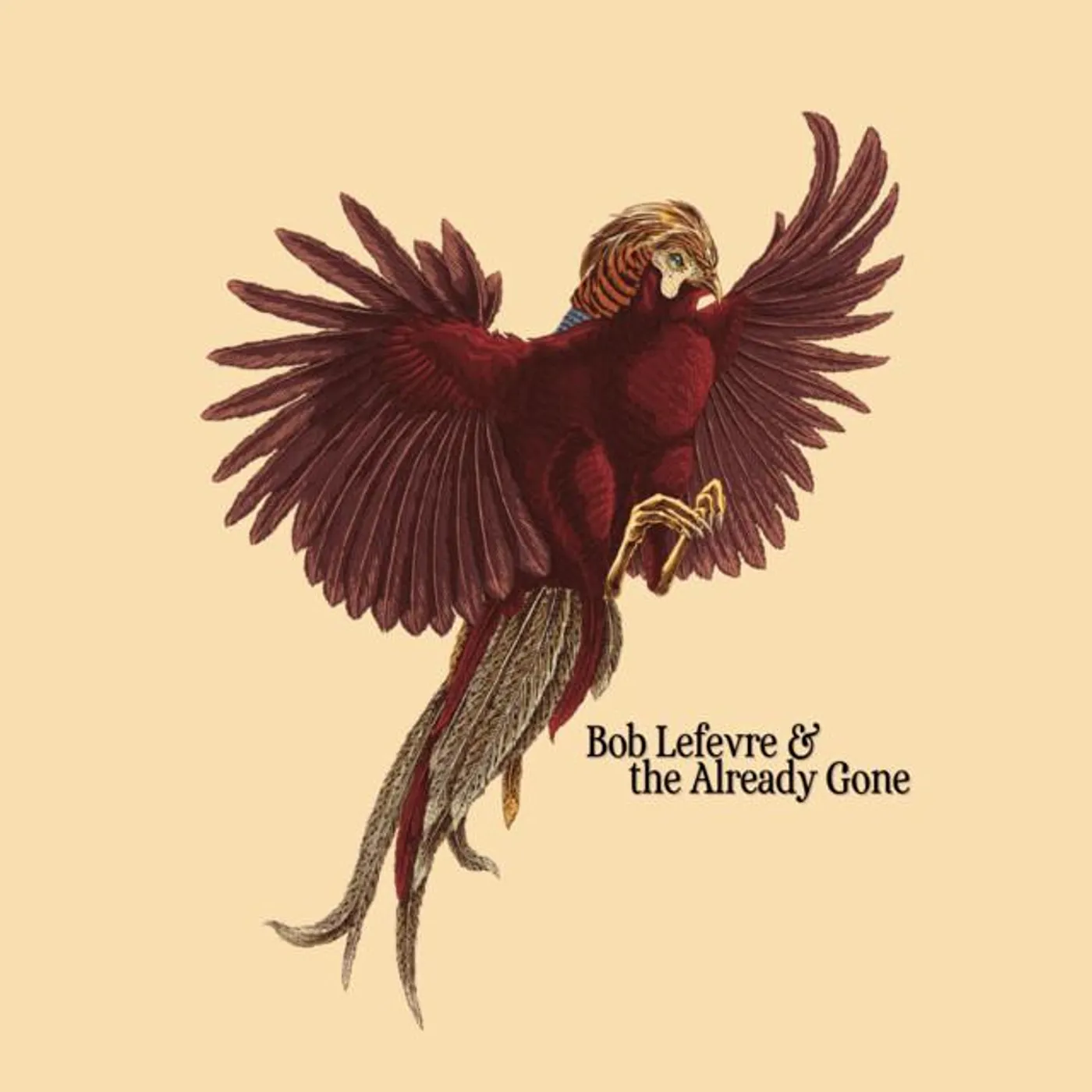 Bob Lefevre & the Already Gone Brand Page