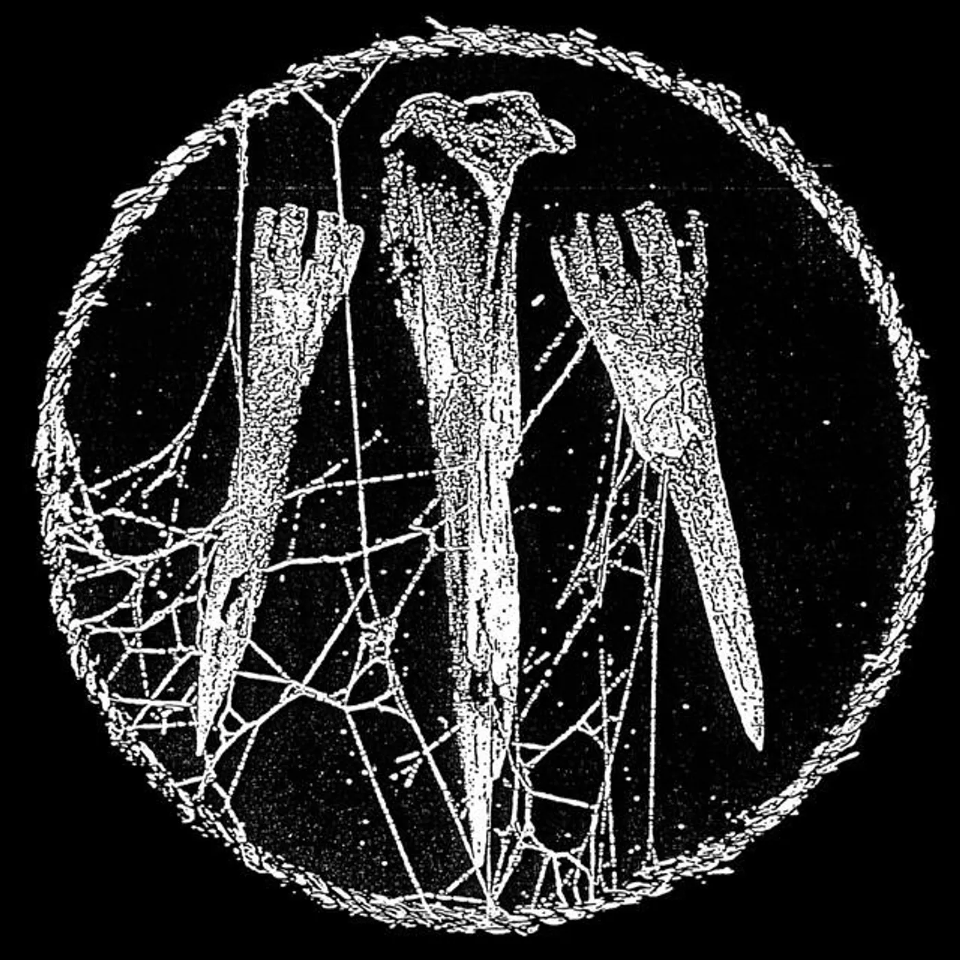 Bog Body Brand Page