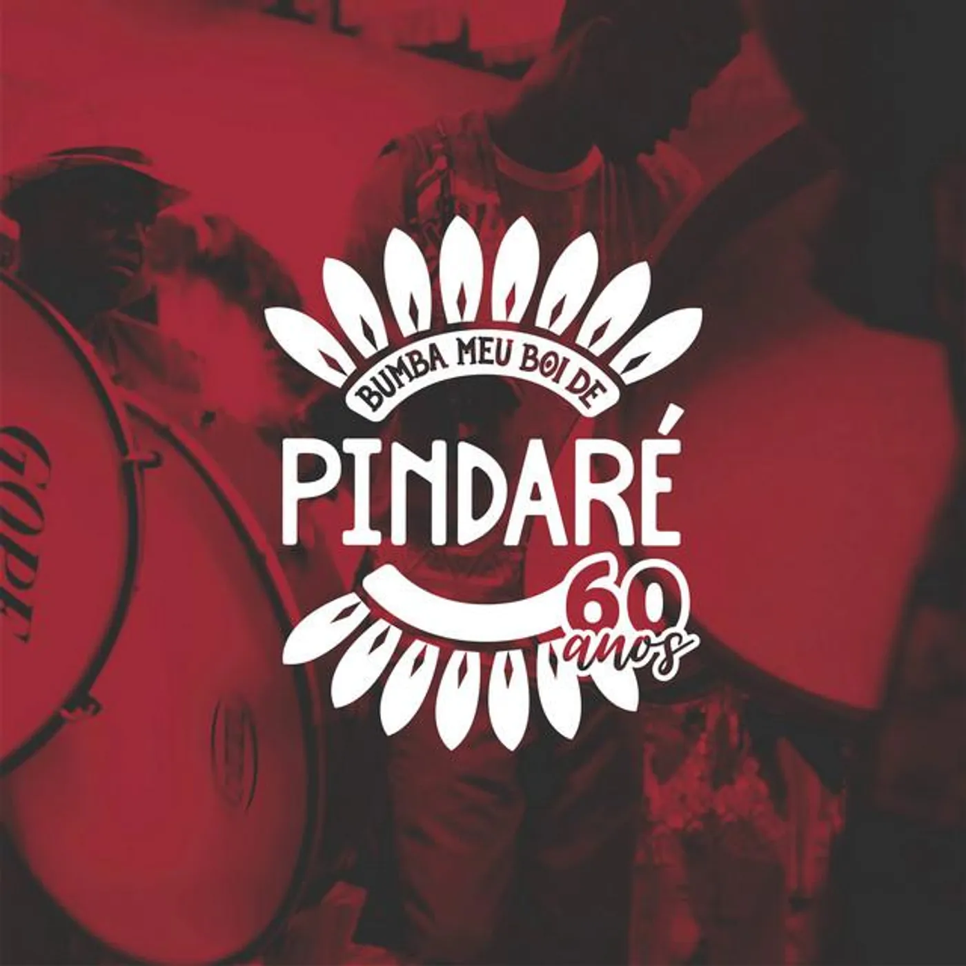 Boi de Pindaré Brand Page