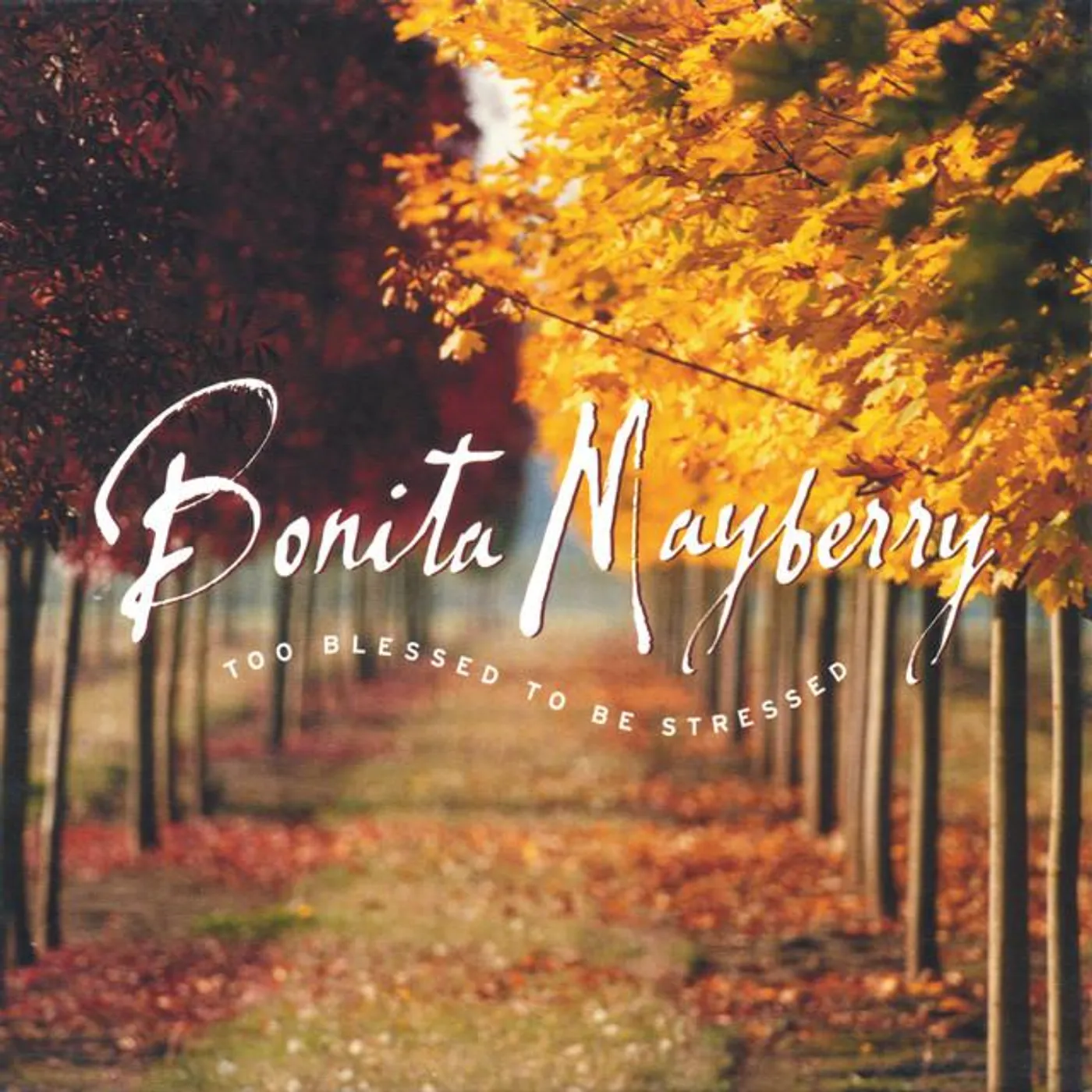 Bonita Mayberry Brand Page