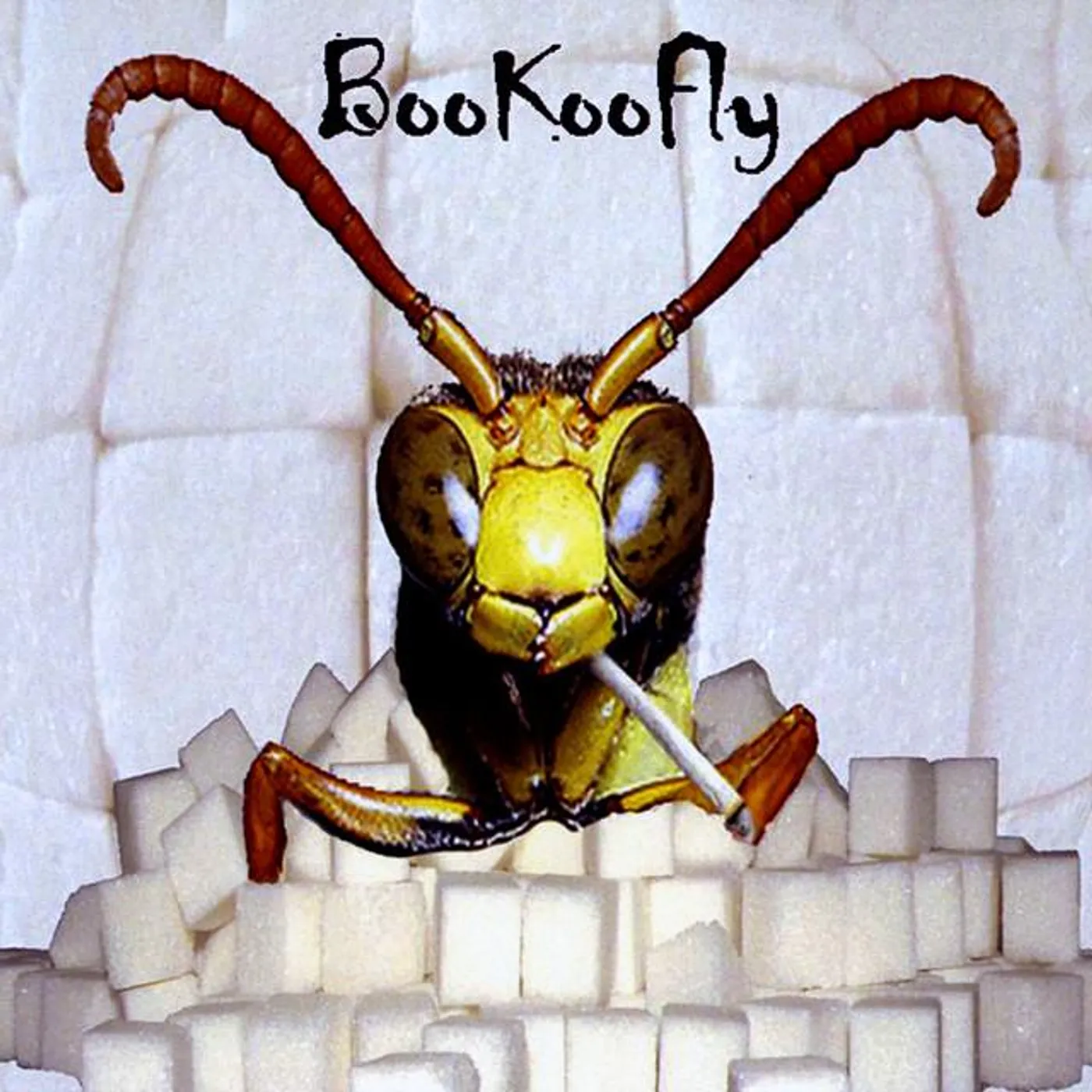 BooKooFly