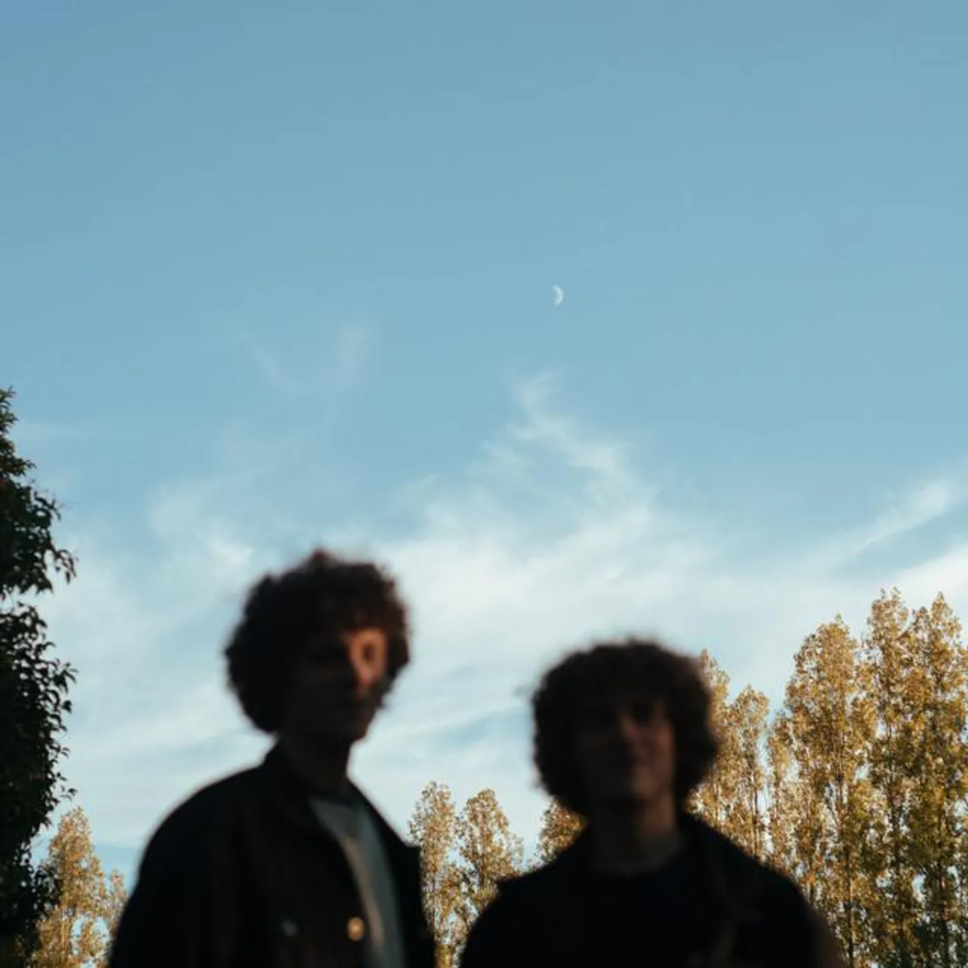 Boreals
