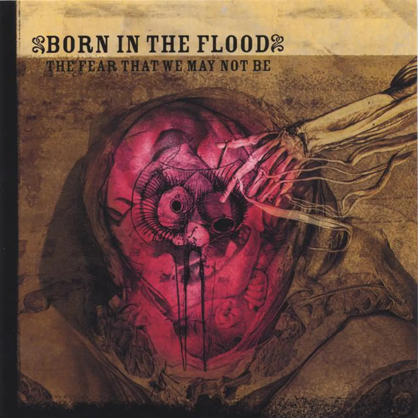 Born In The Flood