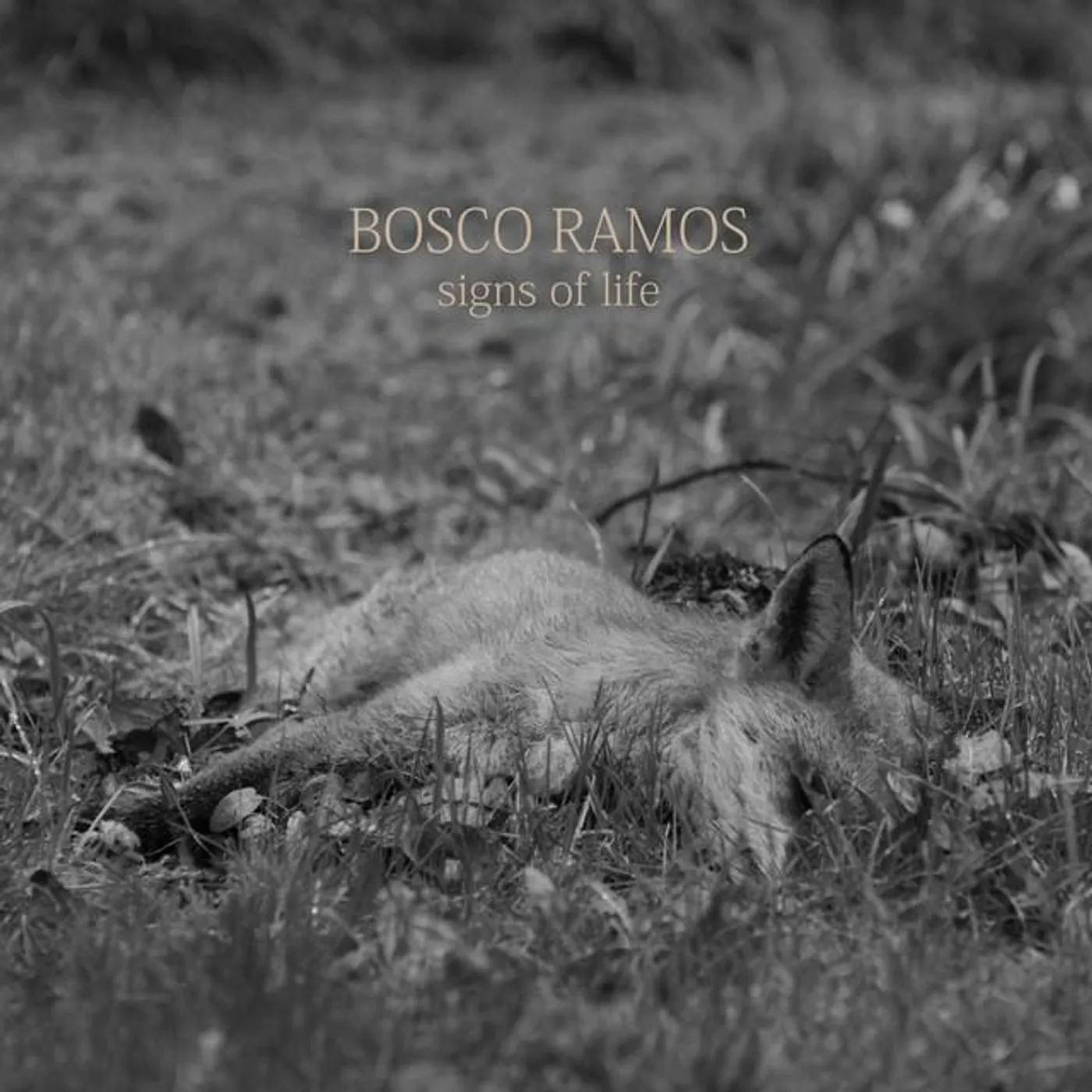 Bosco Ramos