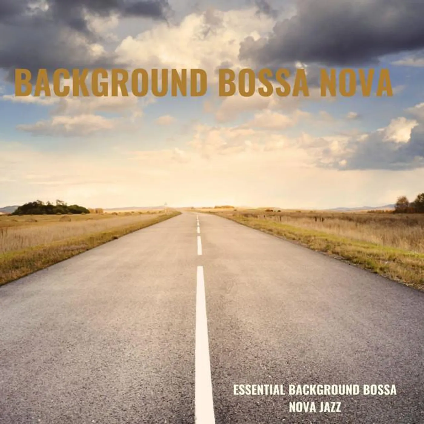 Background Bossa Nova