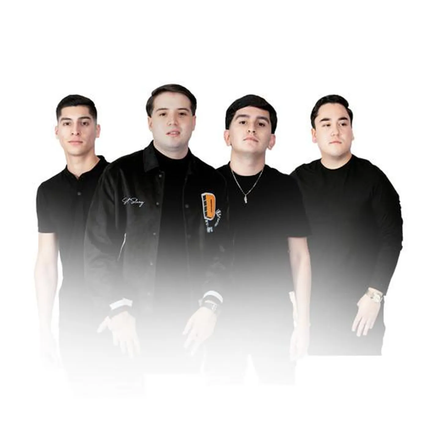 Bajo Perfil
