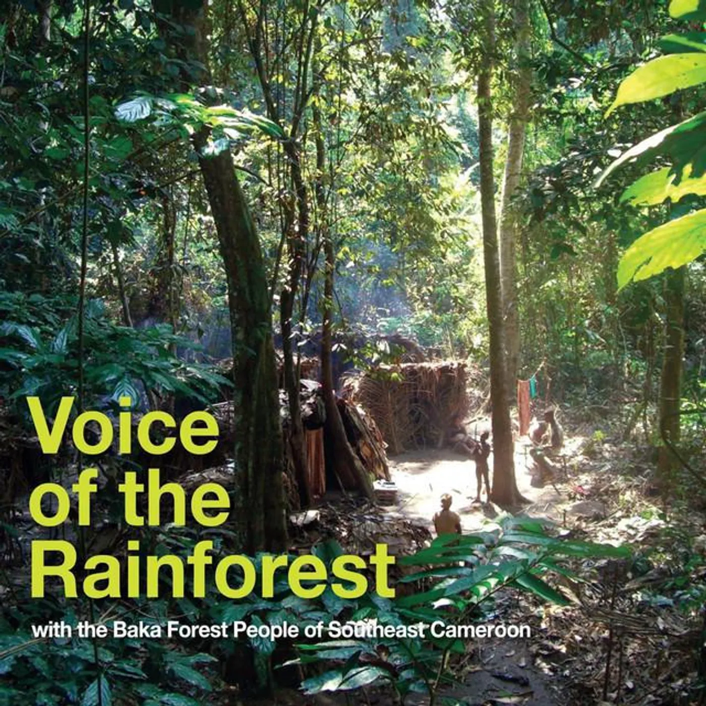 Baka Forest People of Southeast Cameroon