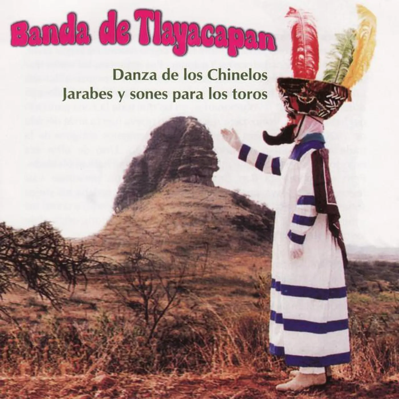 Banda De Tlayacapan