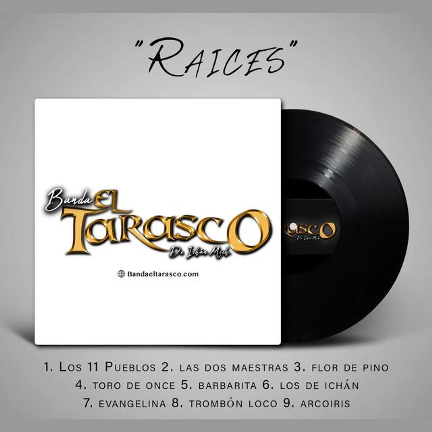 Banda El Tarasco De Ichán Mich.