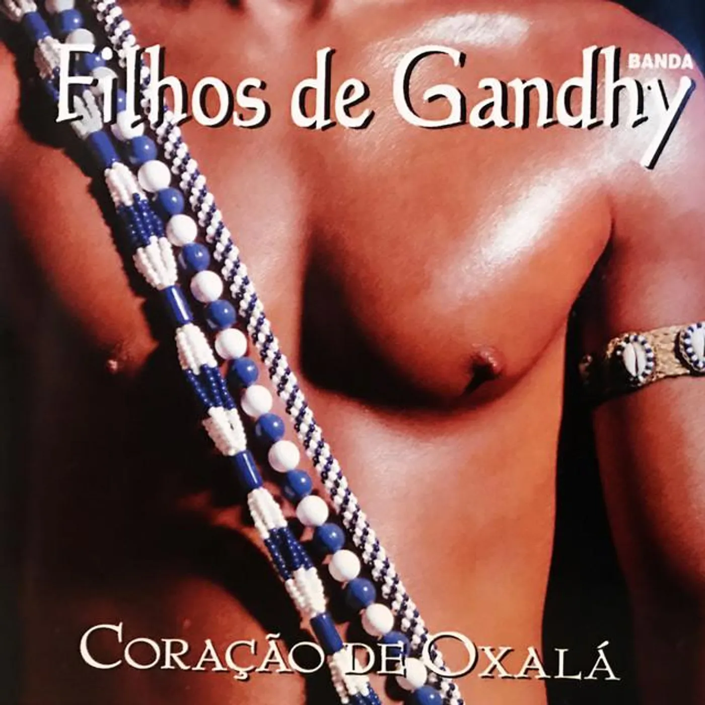 Banda Filhos de Gandhy Brand Page