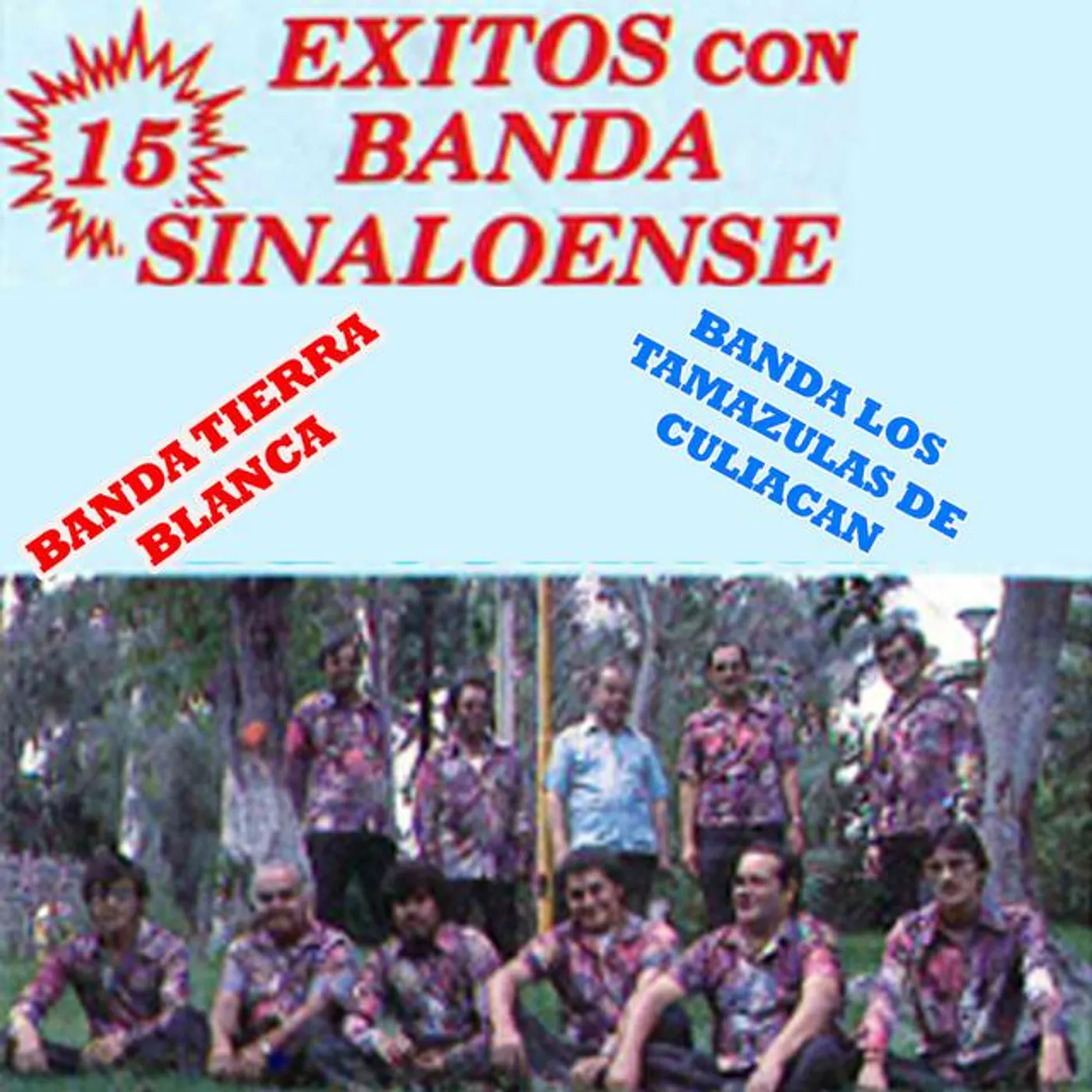 Banda Los Tamazulas De Culiacan