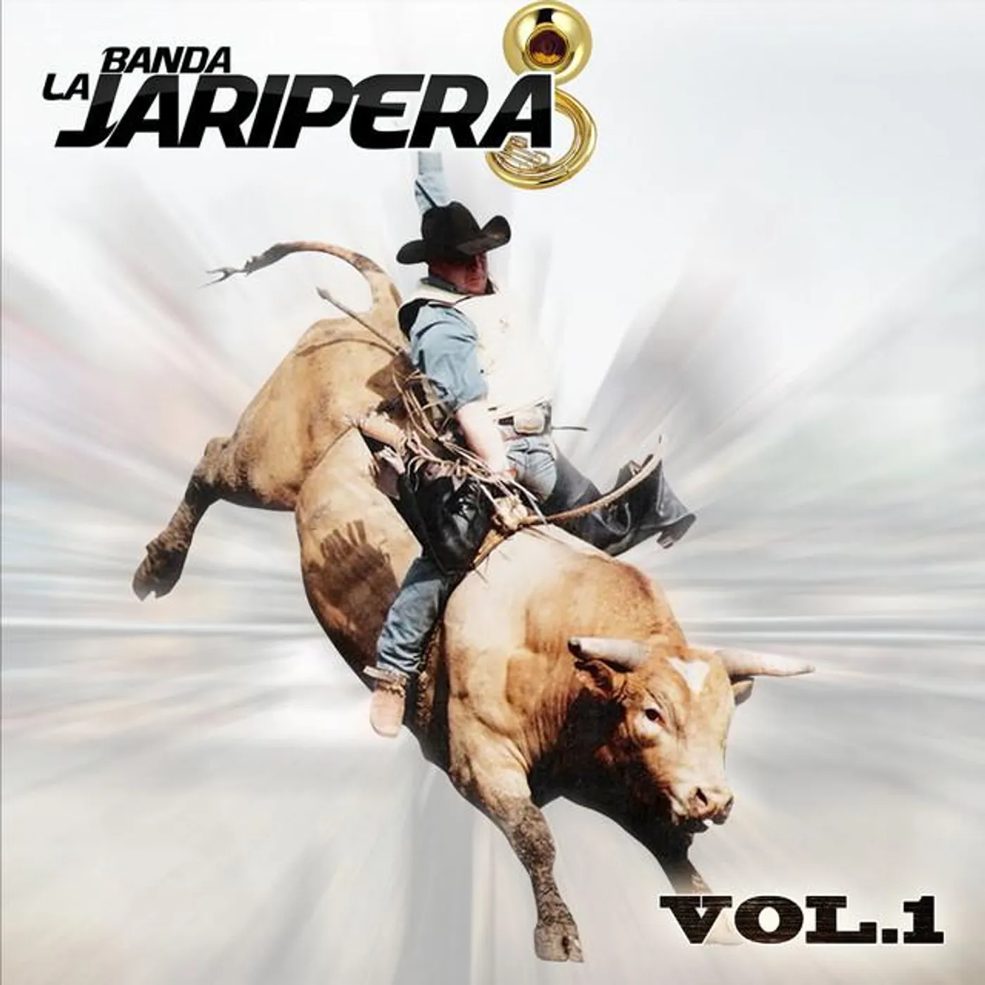 Banda La Jaripera Brand Page