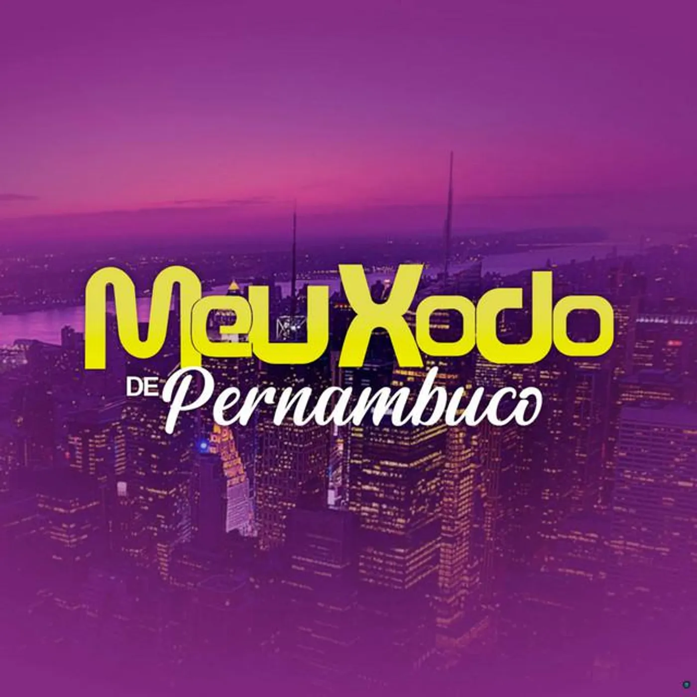 Banda Meu Xodó De Pernambuco