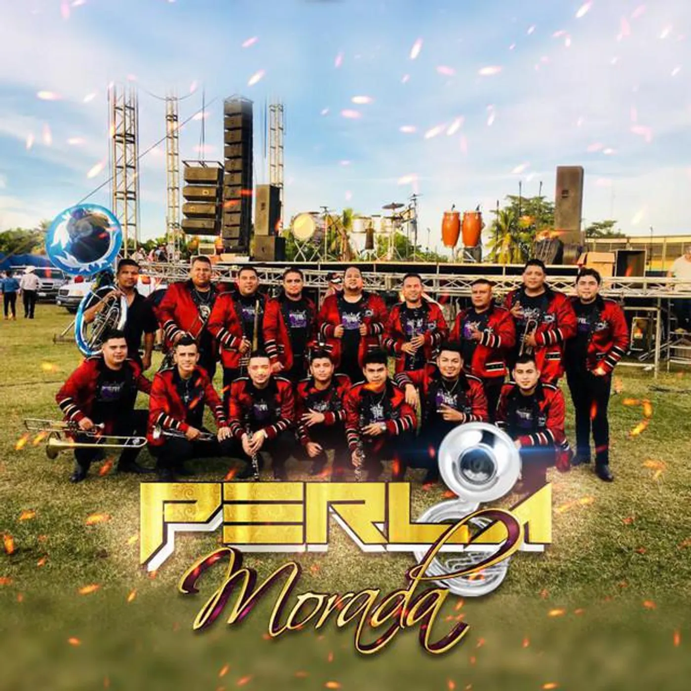 Banda Perla Morada