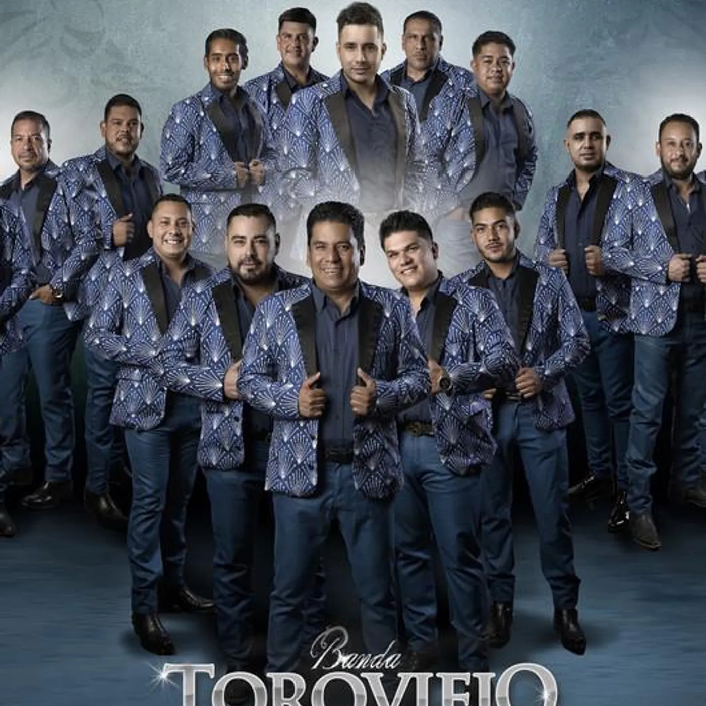 Banda Toro Viejo