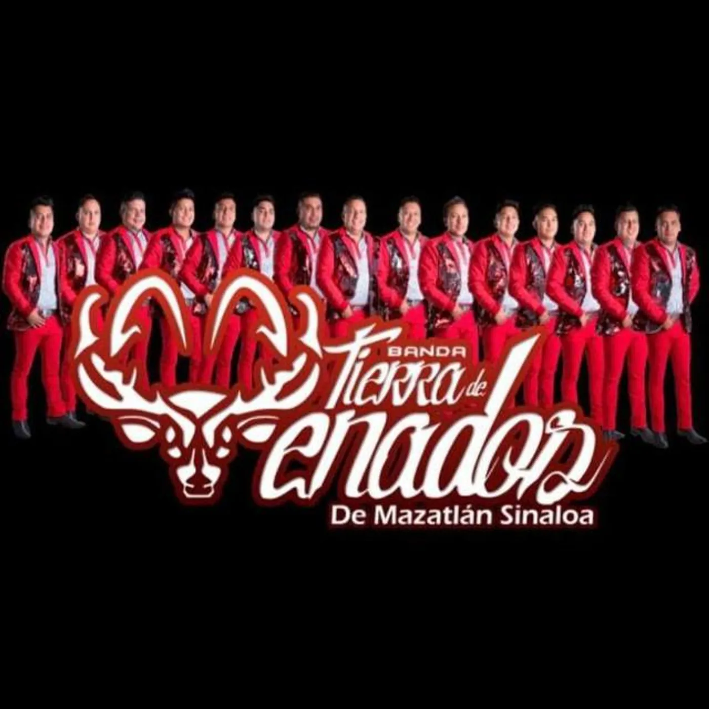 Banda Tierra de Venados