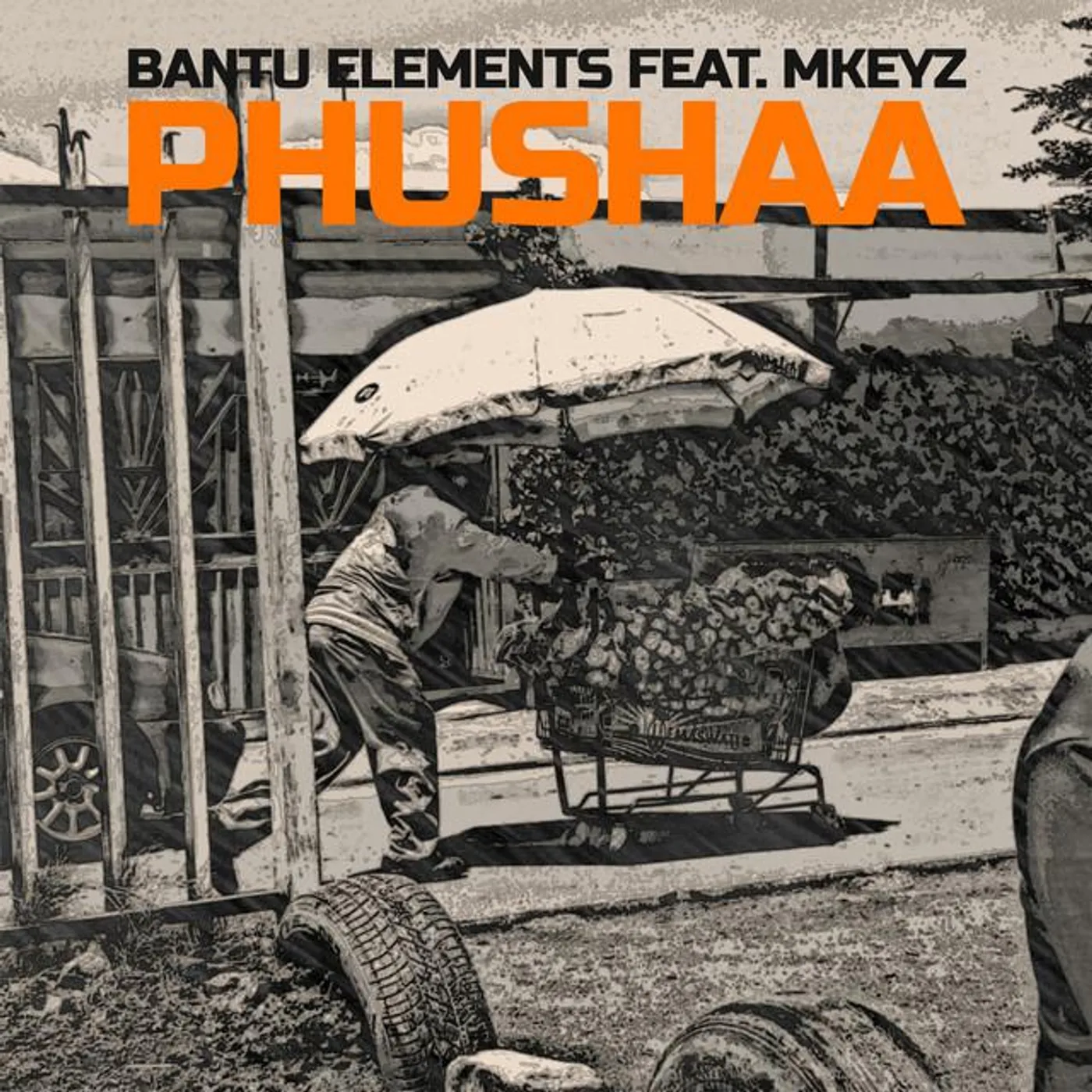 Bantu Elements