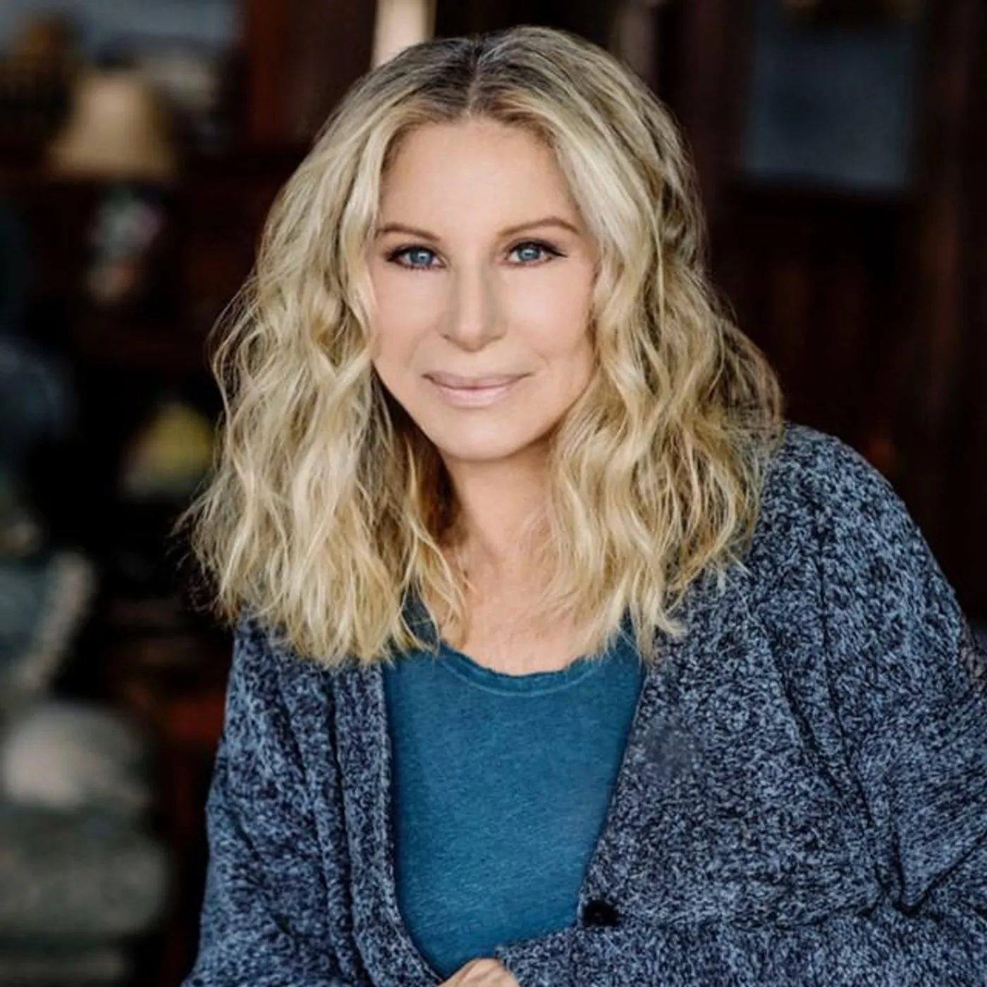 Barbra Streisand Brand Page