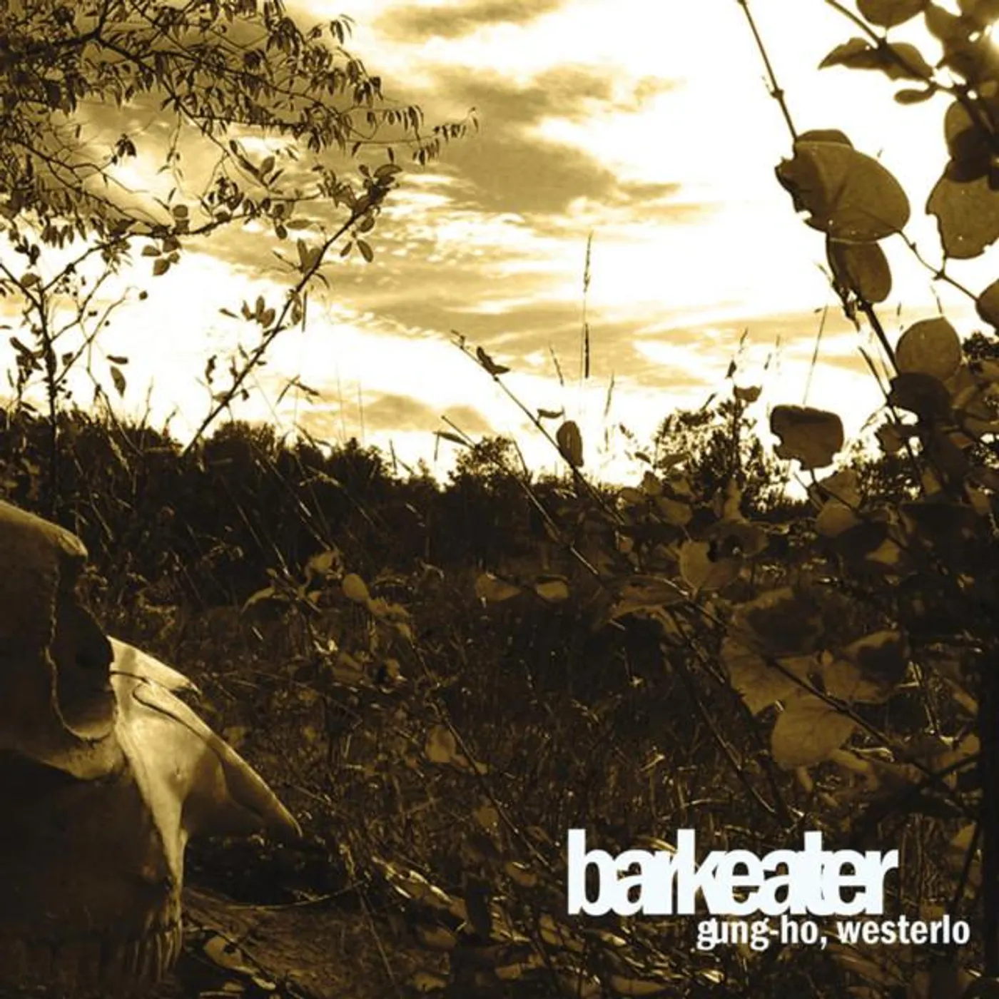 Barkeater